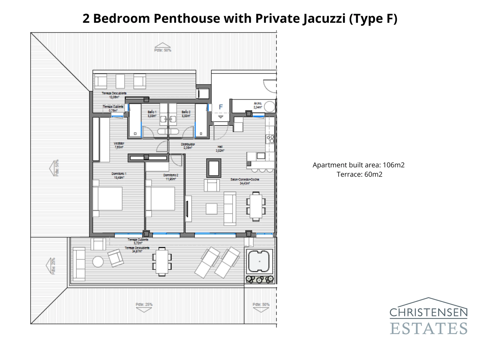 Layout for type F toværelses penthouselejlighed, der fremhæver dens store terrasse og veldisponerede indvendige rum.